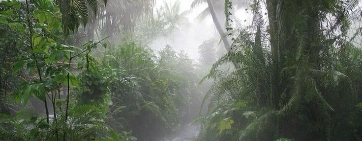 Виктор Киселев