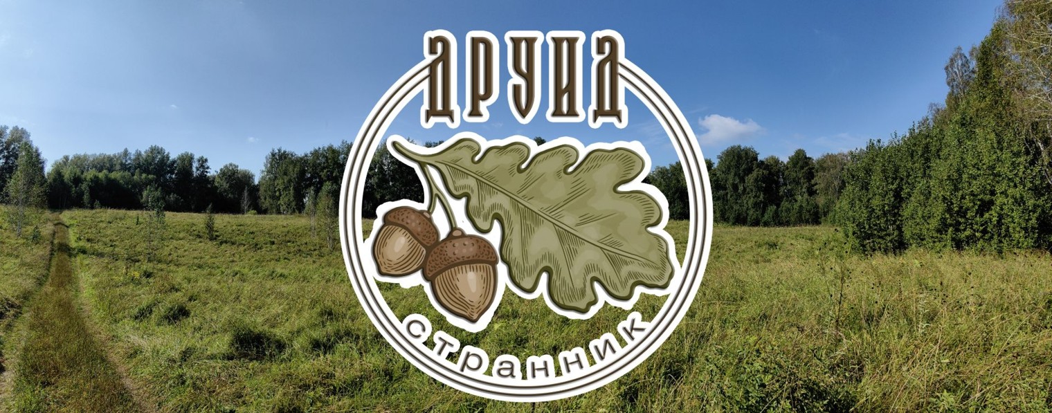 Друид Странник