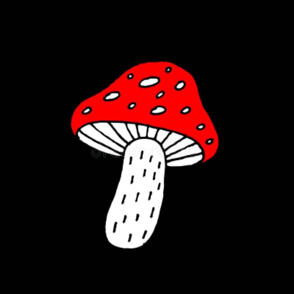 Тик ТАААК !🍄