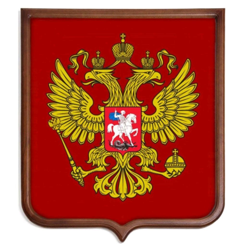 Помощь Участникам СВО От Россиян