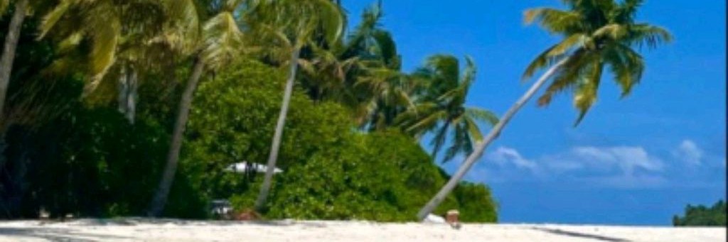 ˚ ࣪࣪𓍢  ִ𝔽𝕒𝕞𝕚𝕝𝕪 𝔹𝕣𝕚𝕖𝕝𝕝𝕖🐆*‧°