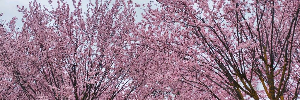 Женя в доме