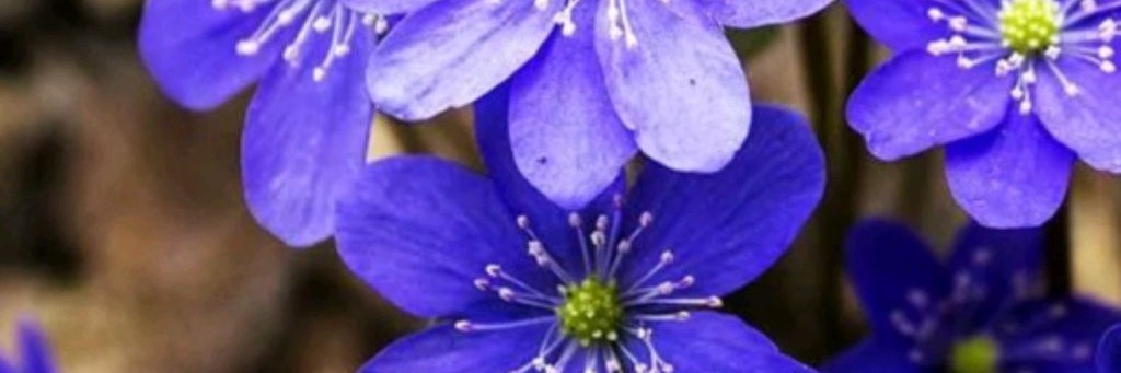 Создано Заботливыми Руками Татарочки