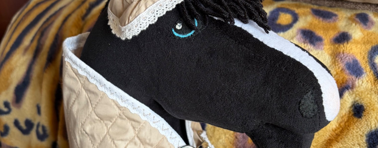 🐴Аккорд и Акордия💖