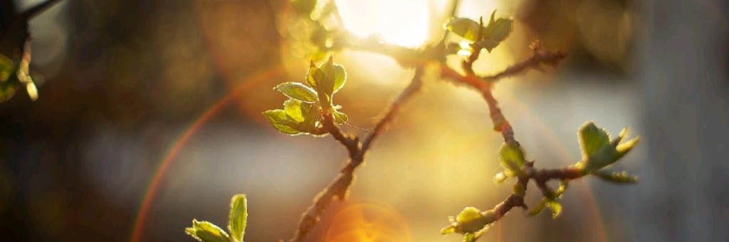 ИскательСмысла