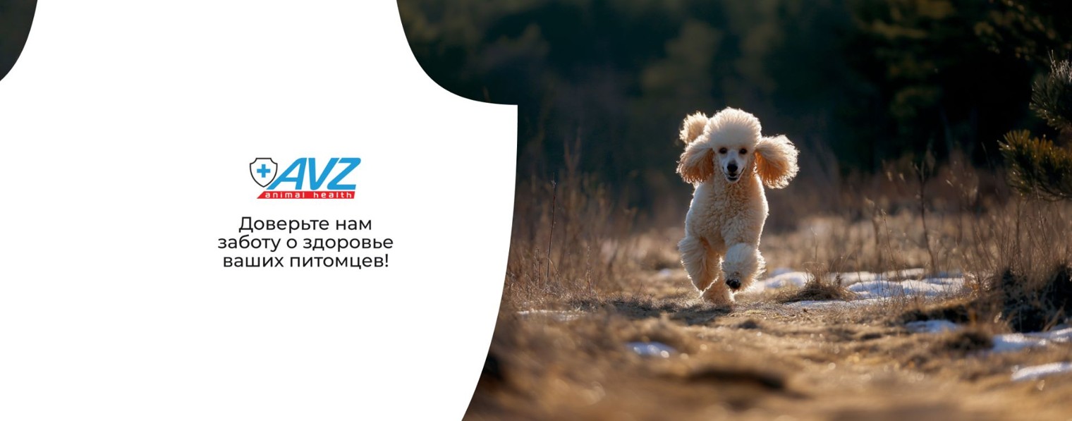 AVZ. Дайджест о здоровье животных