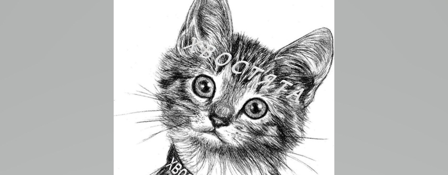 ХВОСТЯТА /ᐠ｡ꞈ｡ᐟ\