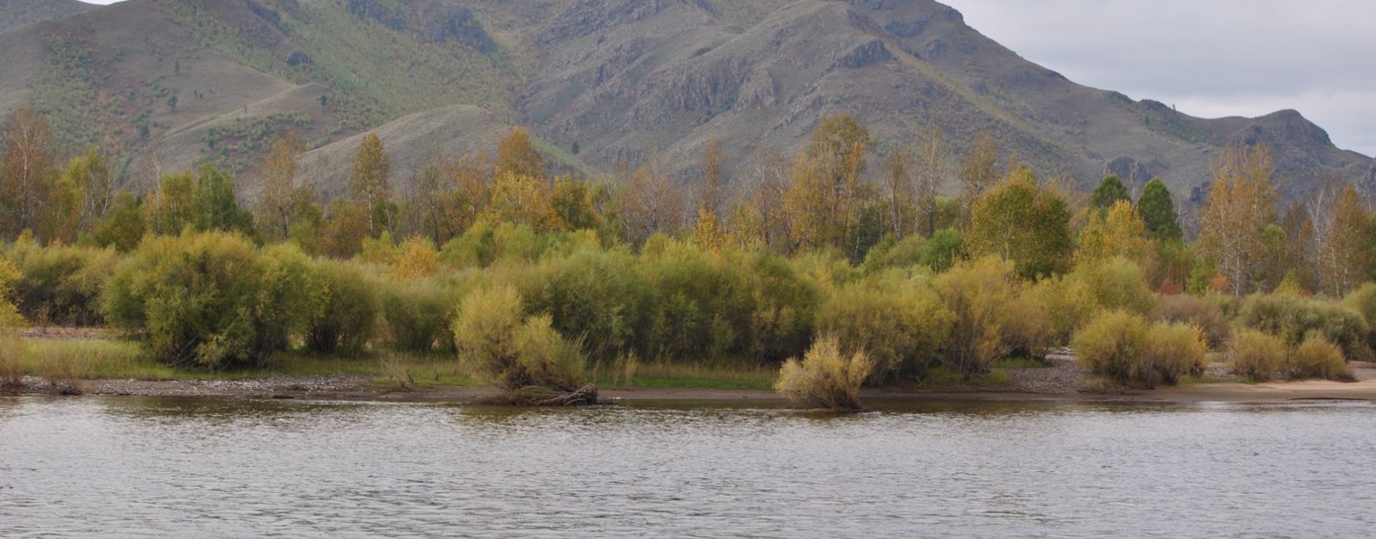 Жизнь и отдых в Монголии