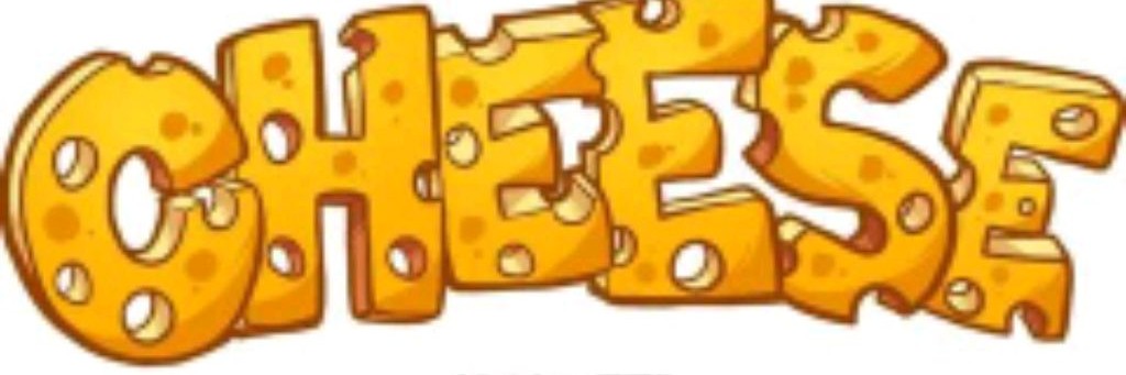 DJ CHEESE (PHONKER 456)