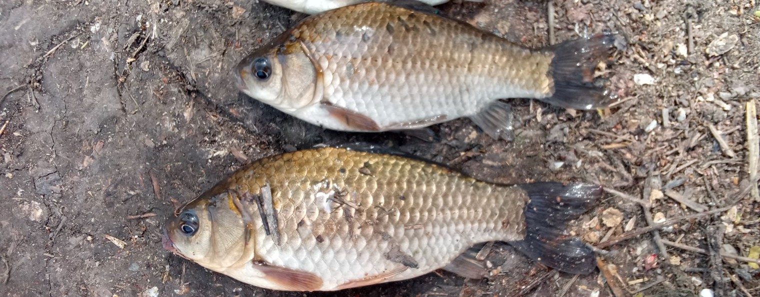 Метод рыбака