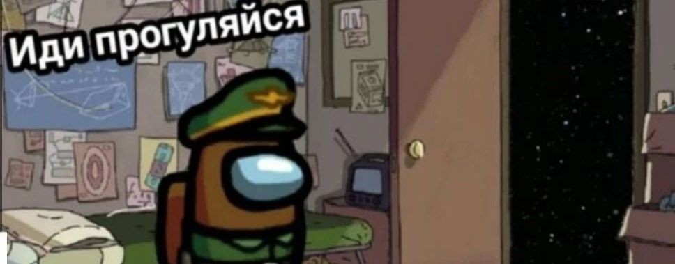 видосы мишки