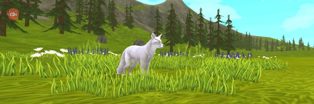 Звездная_ночь♡