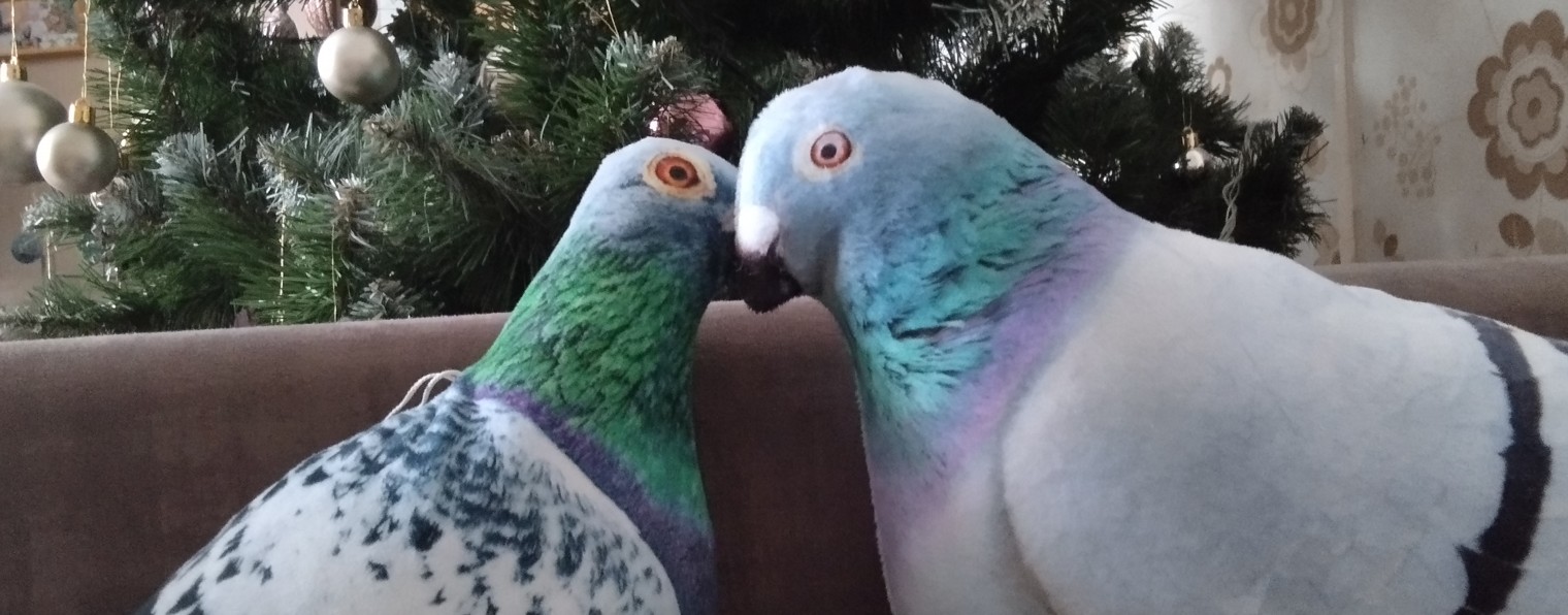 Тимофей Буфаев✅🇷🇺