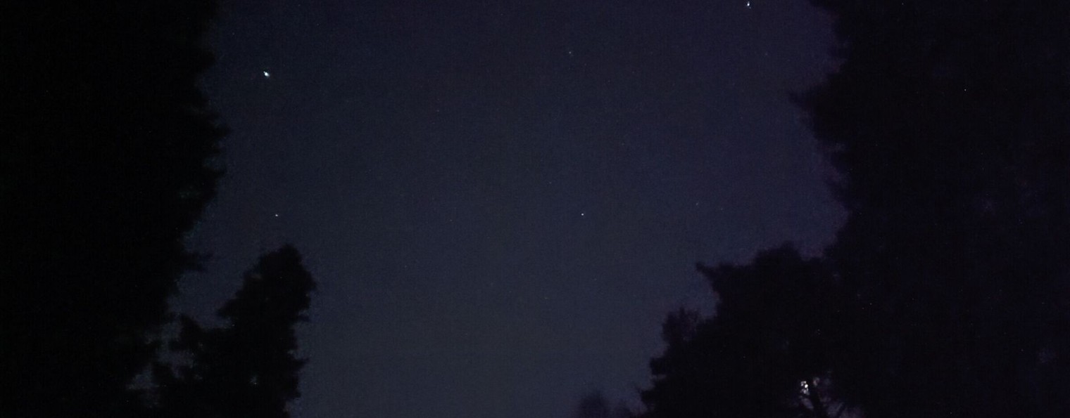 Канал кота Семёна на рутубе