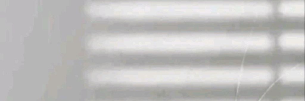 🖤☆Squidwardic☆🖤