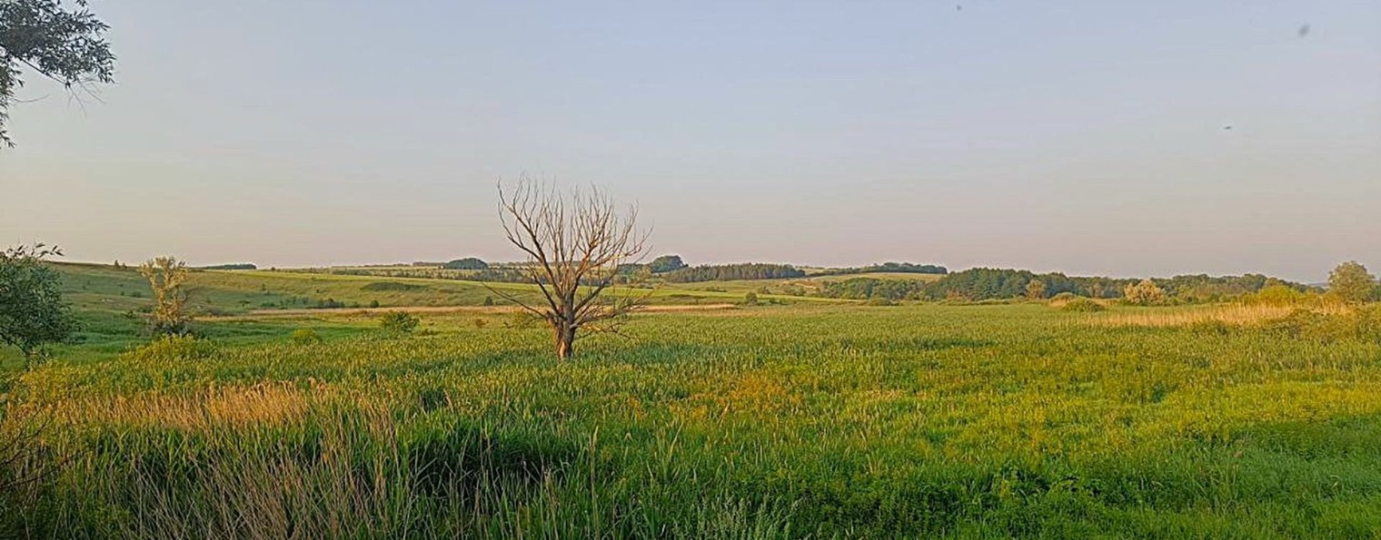 Матвей Львовский