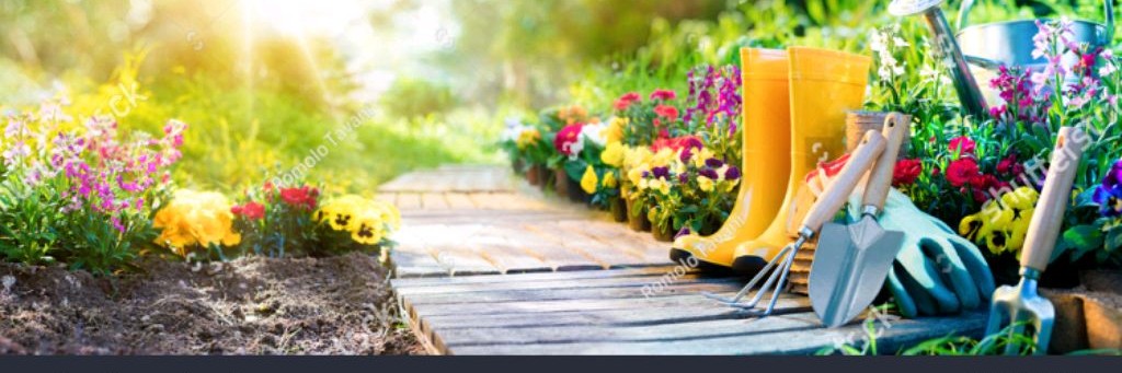 Лучшие идеи для вашей дачи, сада и огорода