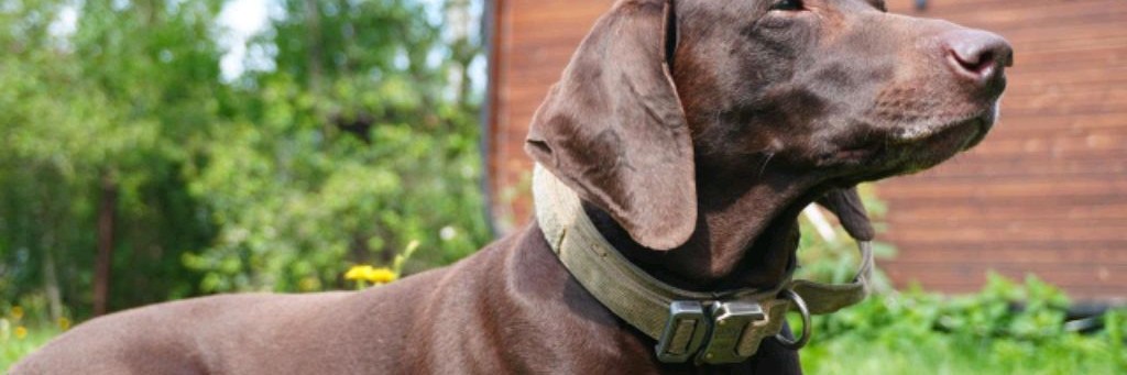 Владимирский Москвич