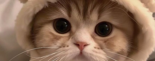 👍🔔𝓚𝓪𝓽𝓮_𝓕𝓪𝓶𝓲𝓵𝔂_𝓥𝓵𝓸𝓰𝓼🫶🍪(rest)