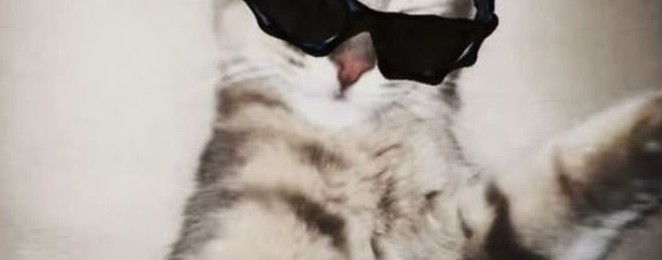 🤍ᥲ᥈ᥱⲏⲕᥲ ᥴⲧ𐔖ρ🧩~