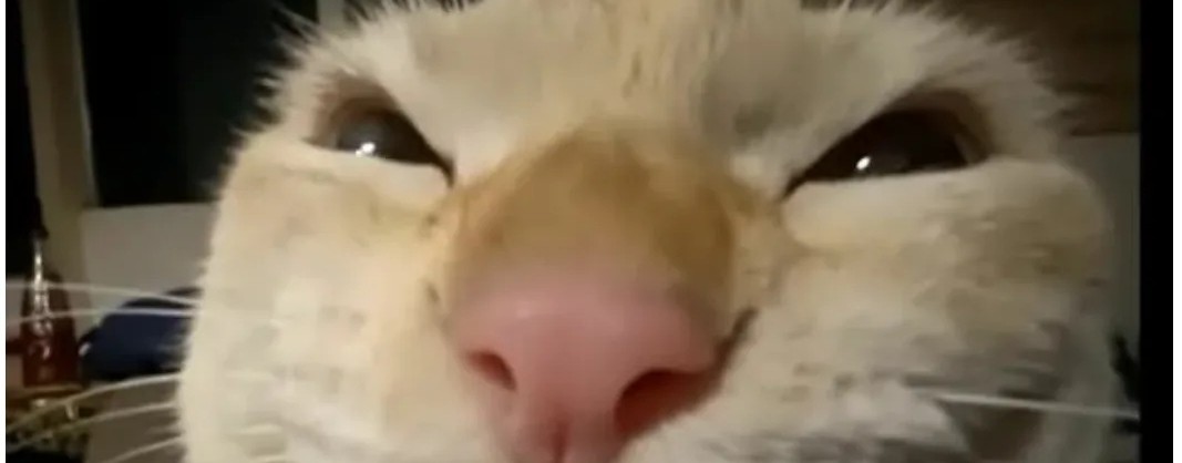 Добро пожаловать к Тиграну