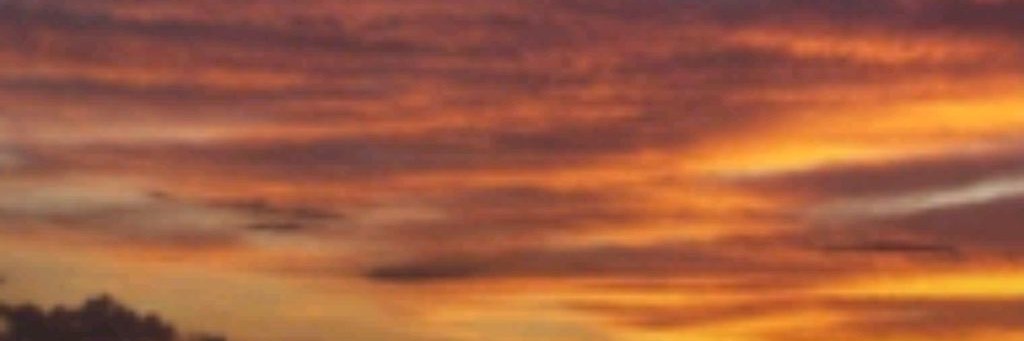 ♥︎🌸🪸𝒥ℯ𝓃𝓃𝒶🪷🪽♥︎