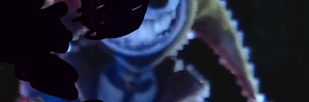 Приключения Попии Плейтайм