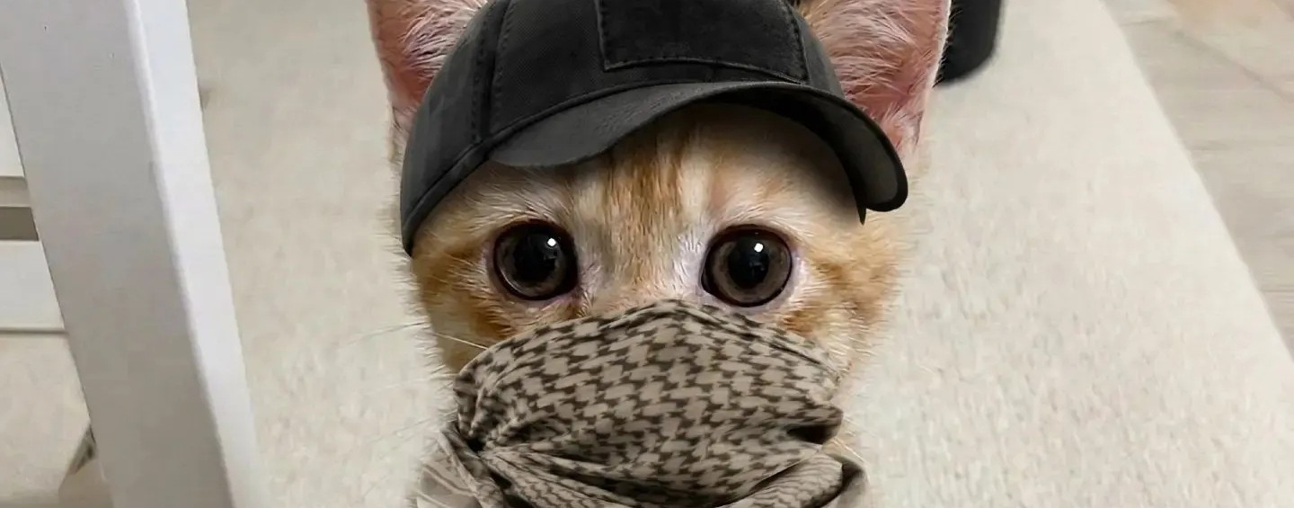 МАКАР КАР КАР