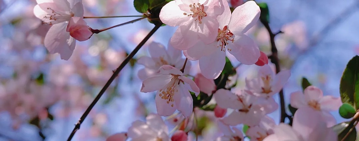 КАНАЛ ЛЮДМИЛЫ