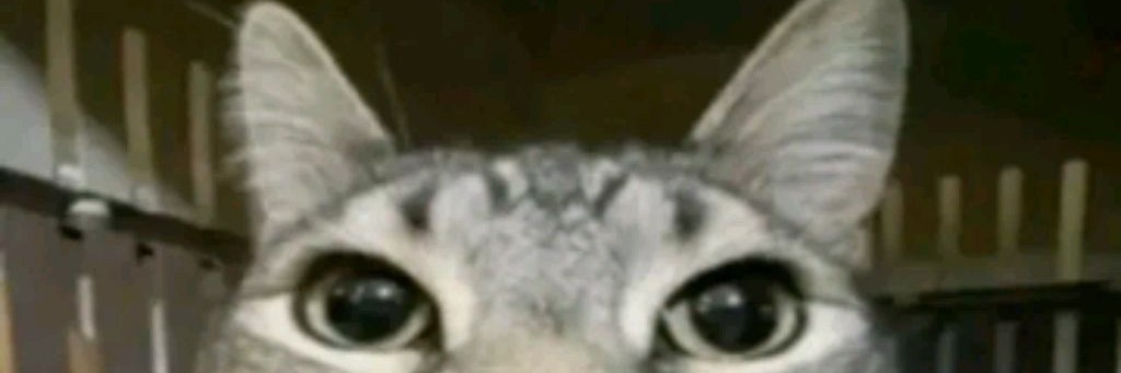 Роблокс Это МОЯ ЖИИИИИИИЗНЬ но ГД ТООжеееееееее