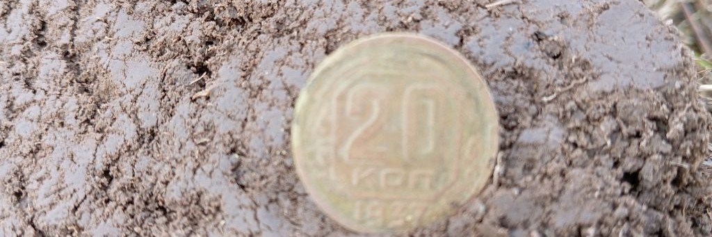 С. ДИванычем.