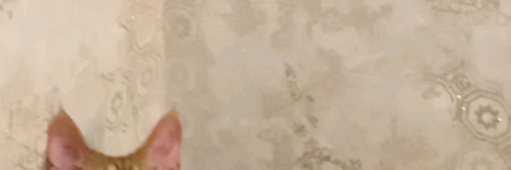 Обо всем 🌍