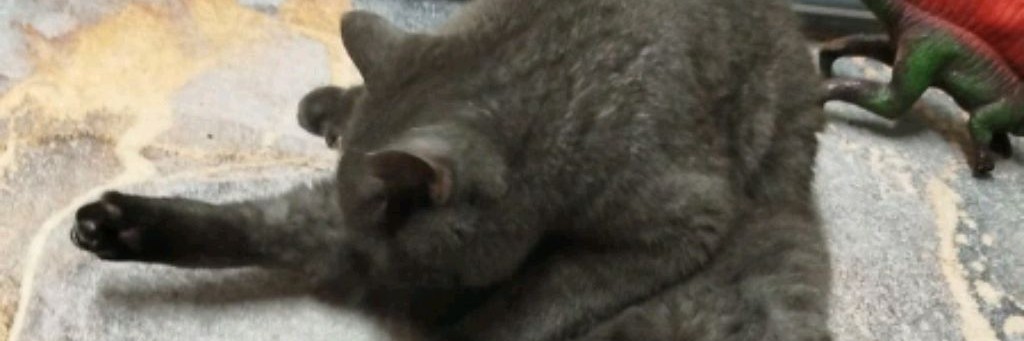 Включаю Режим инвалида🥴