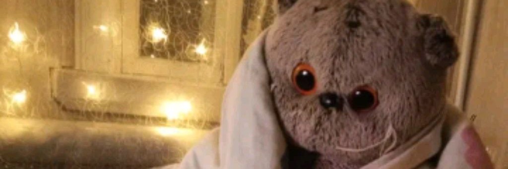 Басик по имени Миша