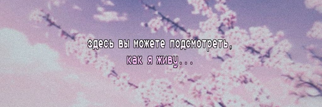 Давид Миркович