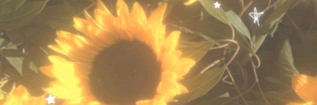 🌴Bassie🌻(Ollu)