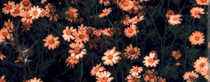 🤍~Vlada Avatar World~🤍