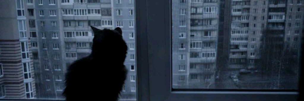 трол фейс🤬