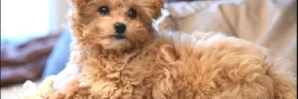 Природа с природой