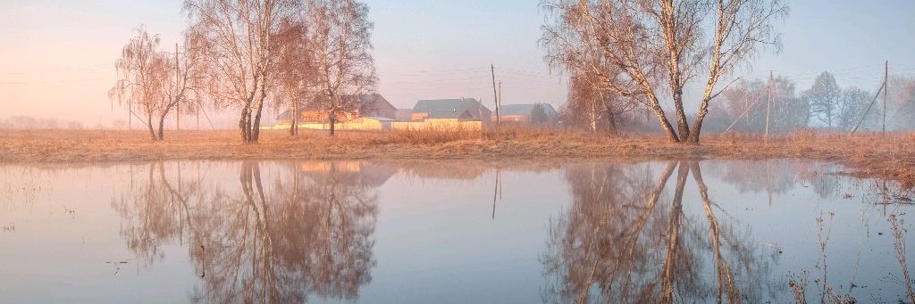 Дед Василич