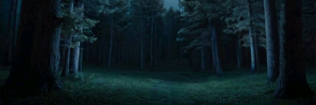 🍀🌲Всеми Забытый Мир🌳🌱