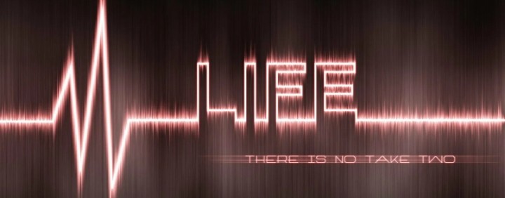 p4lse - Mobile legends