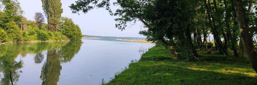 Дао - повара.