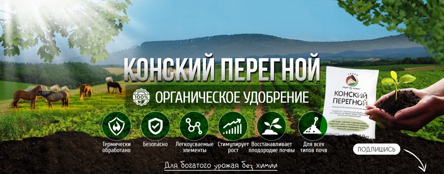 Огород БЕЗ химии | Экони