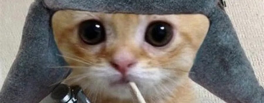 Эль Гато Из СССР