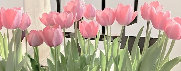 🌷Spring_alisa🌷