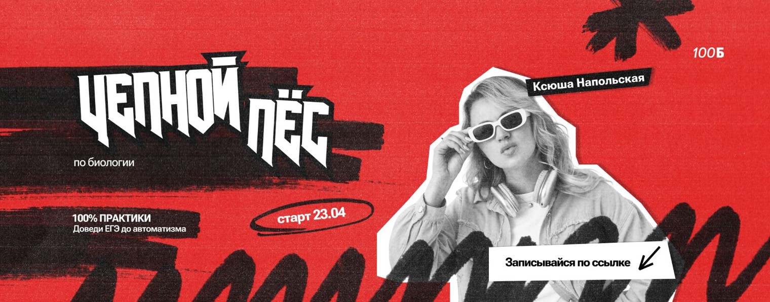 Напольская Ксения | Биология ЕГЭ