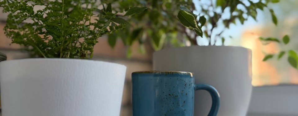 Территория парадоксов | Психолог Альбина Зарипова