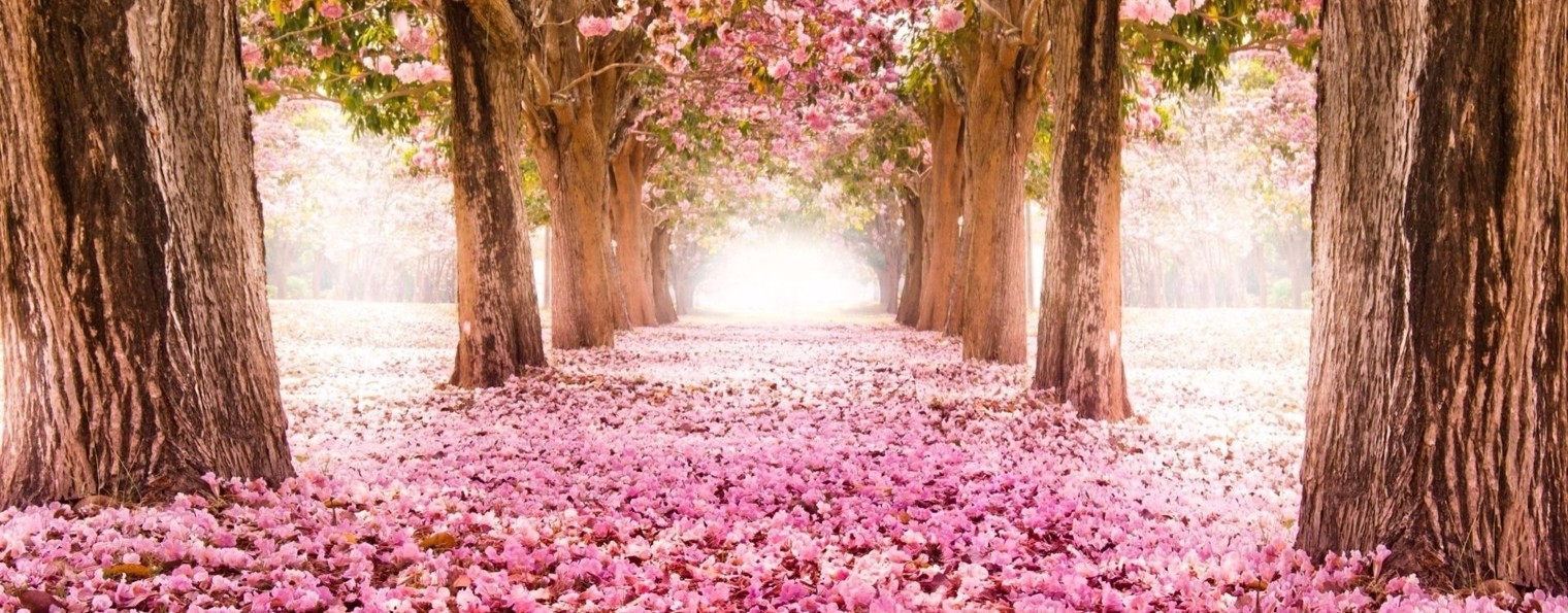 БоевойКонь