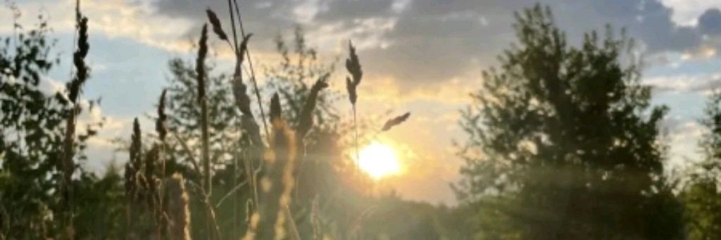 𝐷𝑖𝑙𝑎𝑟𝑎𝑠 𝐻𝑜𝑚𝑒★